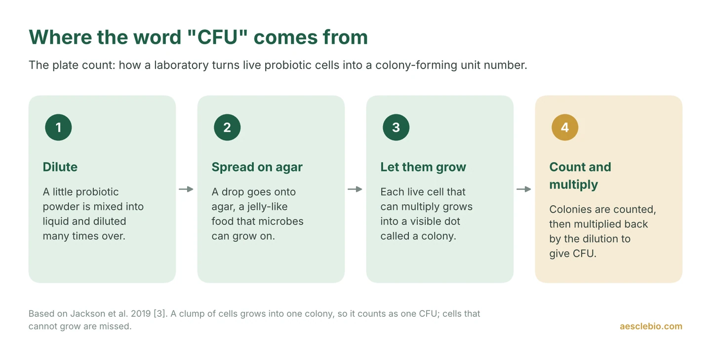 Four-step diagram explaining the CFU meaning: a probiotic sample is diluted, spread on agar, grown into colonies, and the colonies are counted to give colony-forming units.