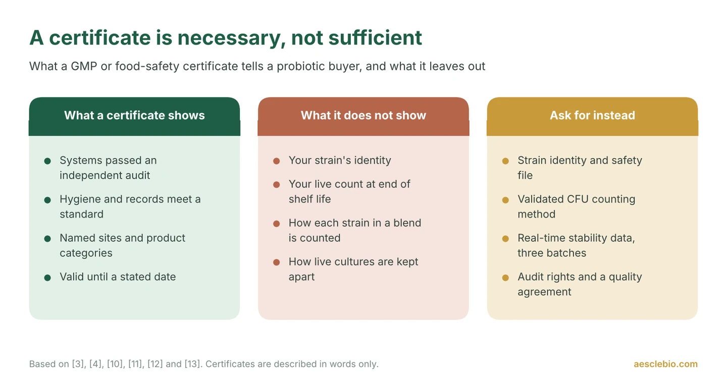 Three-column chart comparing what a GMP certificate shows, what it does not show, and what a probiotic buyer should ask for instead.