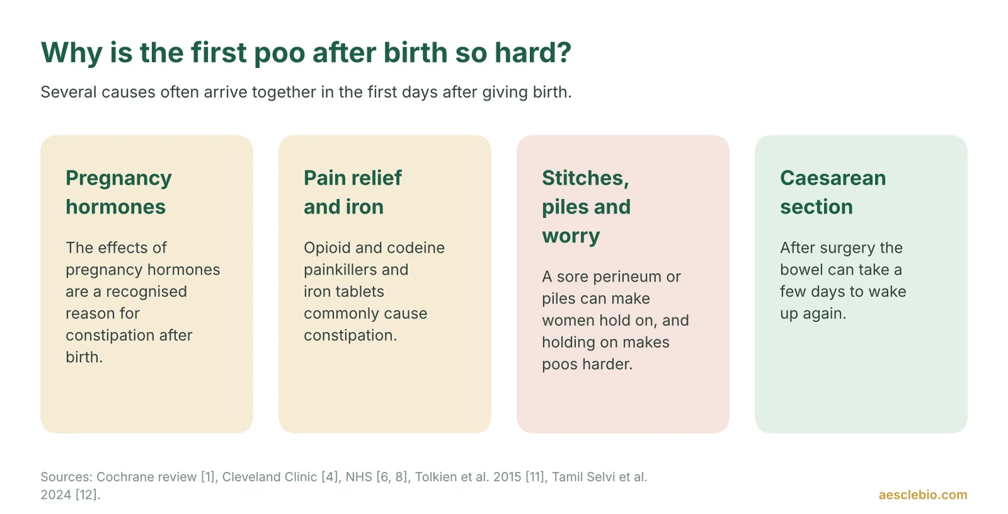 Four cards explaining why the first poop after giving birth is difficult: hormones, pain relief and iron tablets, stitches and piles, and caesarean surgery.