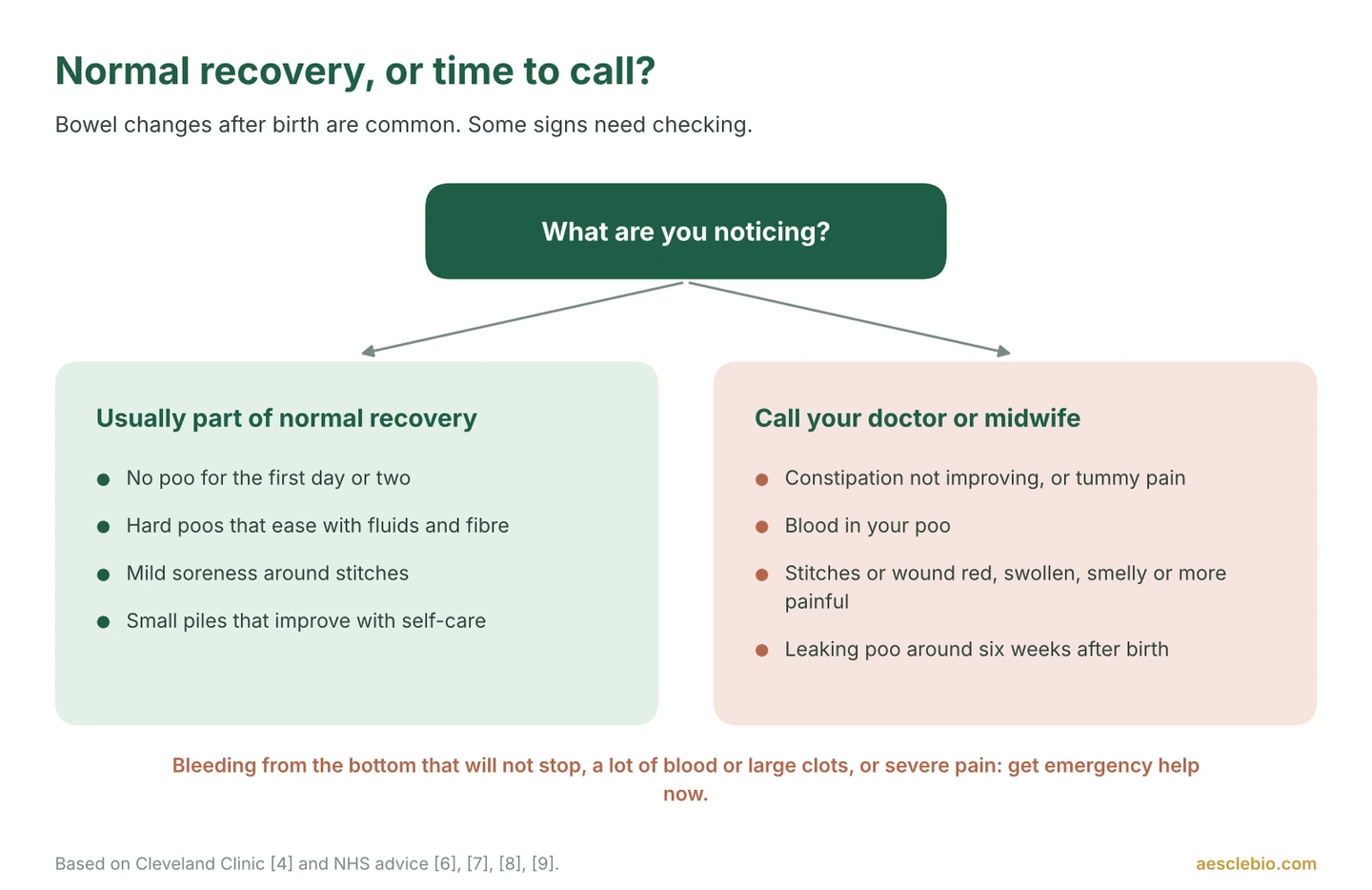 Decision guide separating normal postpartum bowel changes from warning signs that need a doctor or midwife, with an emergency warning for heavy bleeding or severe pain.