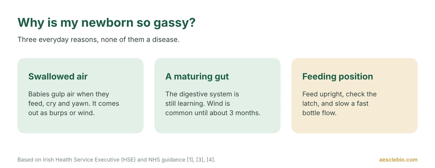 Three cards showing why newborns are gassy: swallowed air, a maturing gut, and feeding position.