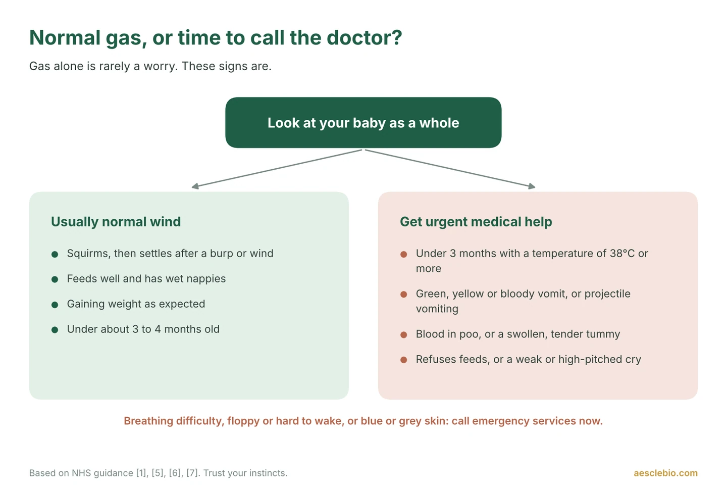 Decision guide comparing signs of normal newborn gas with red-flag symptoms such as fever under 3 months, green vomit, blood in poo and refusing feeds that need urgent medical help.