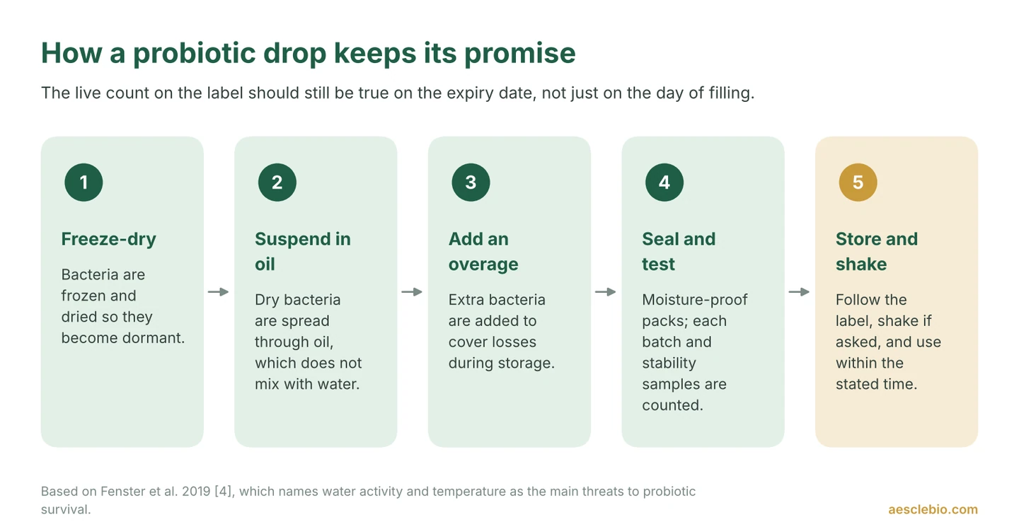 Five-step process showing how probiotic drops are freeze-dried, suspended in oil, given an overage, sealed and tested, then stored and shaken before use.