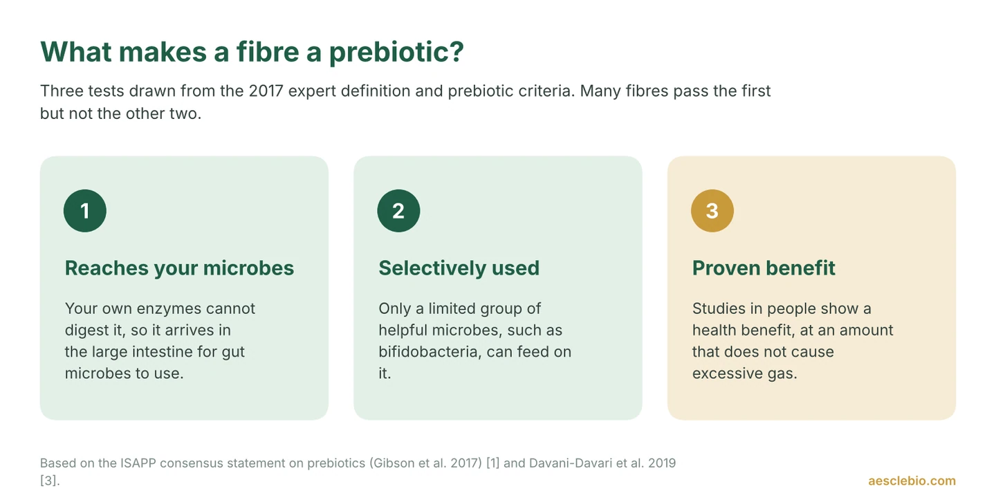 Infographic showing the three tests a fibre must pass to be called a prebiotic: it reaches gut microbes undigested, it is used selectively by helpful microbes, and it has a proven health benefit.