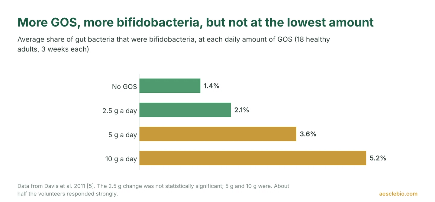 Bar chart showing bifidobacteria at 1.4% of gut bacteria with no GOS, 2.1% at 2.5 grams a day, 3.6% at 5 grams a day and 5.2% at 10 grams a day in a study of 18 healthy adults.