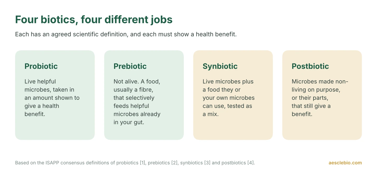 Infographic comparing prebiotics, probiotics, postbiotics and synbiotics, with a plain-language definition of each.