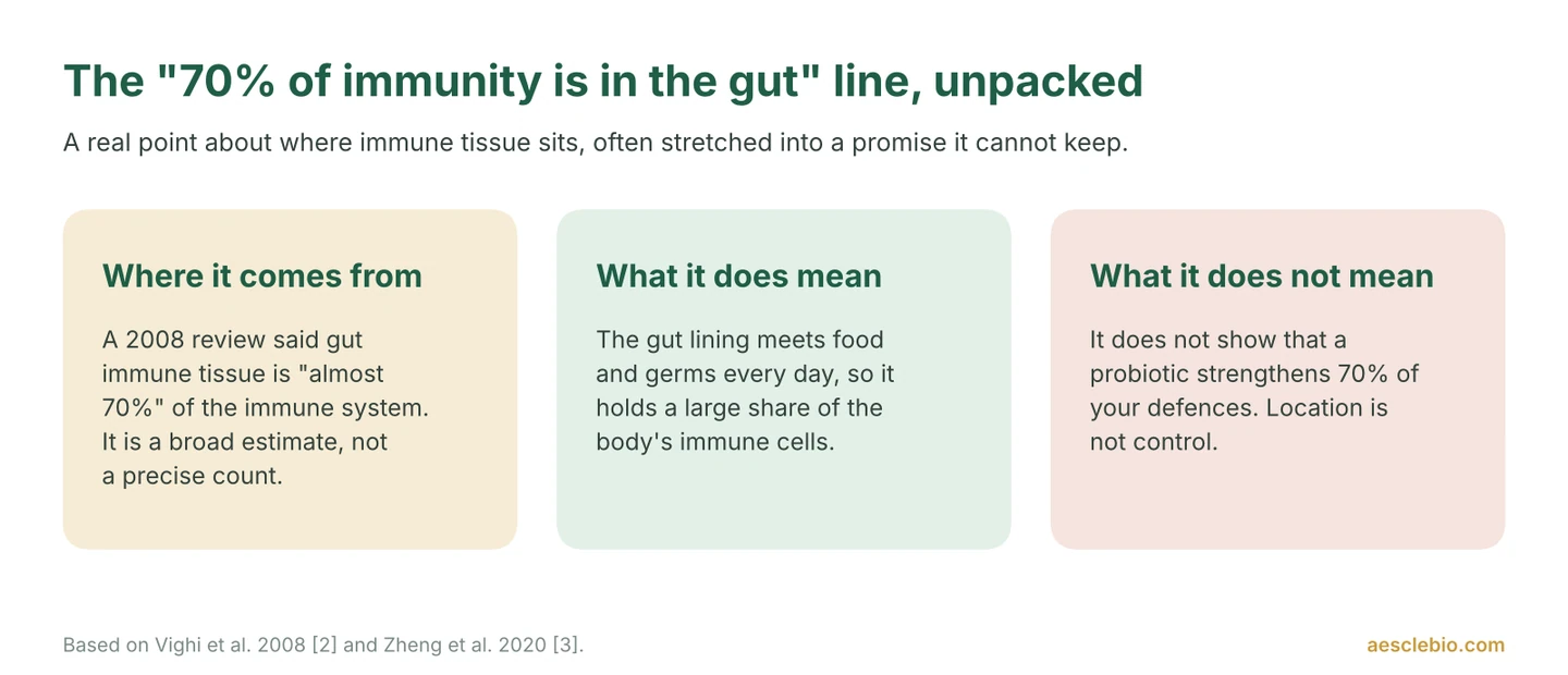 Three cards explaining the 70% gut immune claim: where it comes from, what it means, and what it does not mean.