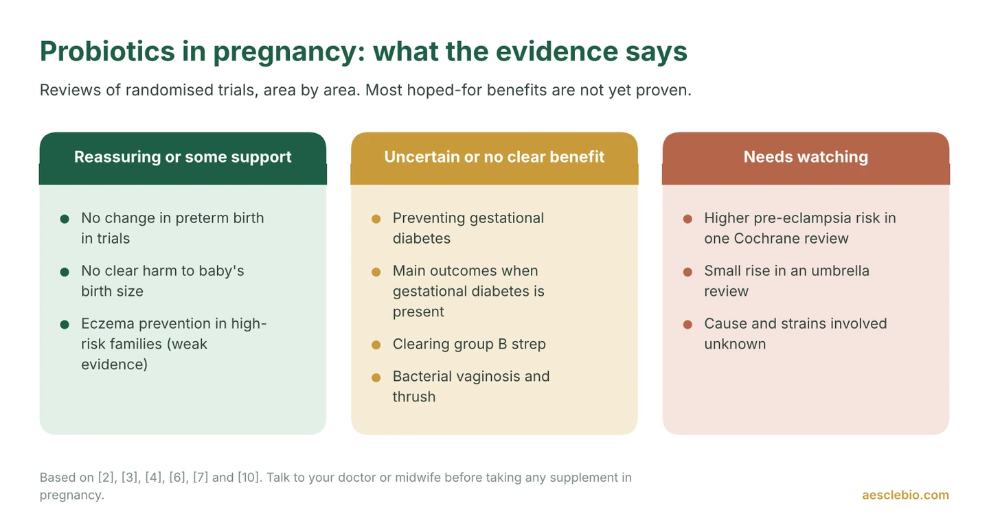 Three-column summary of evidence on probiotics in pregnancy: reassuring safety for preterm birth and some support for eczema prevention, uncertain benefit for gestational diabetes and group B strep, and a pre-eclampsia signal that needs watching.