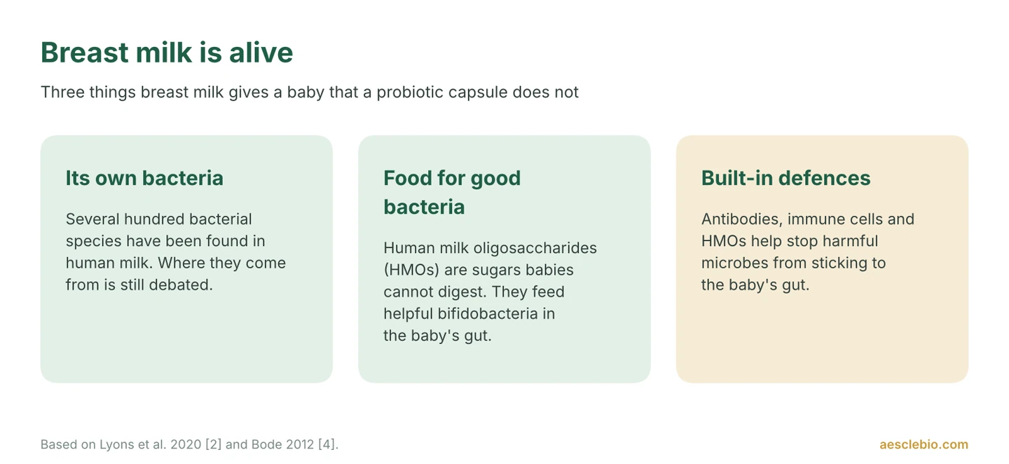 Infographic showing three parts of breast milk: its own bacteria, human milk oligosaccharides that feed bifidobacteria, and built-in immune defences.