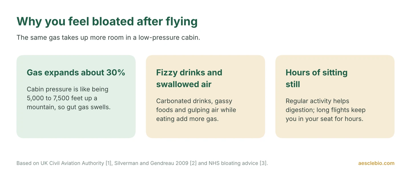 Infographic showing three causes of bloating after a flight: gas expanding by about 30% in cabin pressure, fizzy drinks and swallowed air, and sitting still for hours.