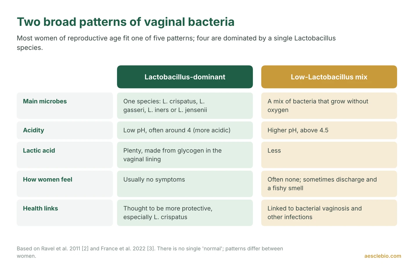Comparison of a Lactobacillus-dominant vaginal microbiome, with low pH and plenty of lactic acid, and a low-Lactobacillus mix linked to bacterial vaginosis.