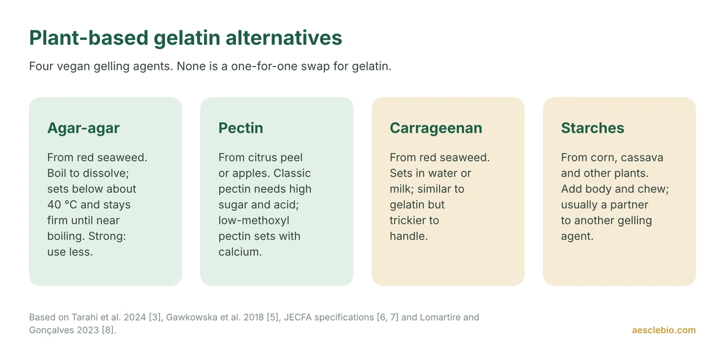 Four cards describing agar-agar, pectin, carrageenan and starch as plant-based alternatives to gelatin, with their sources and how they set.
