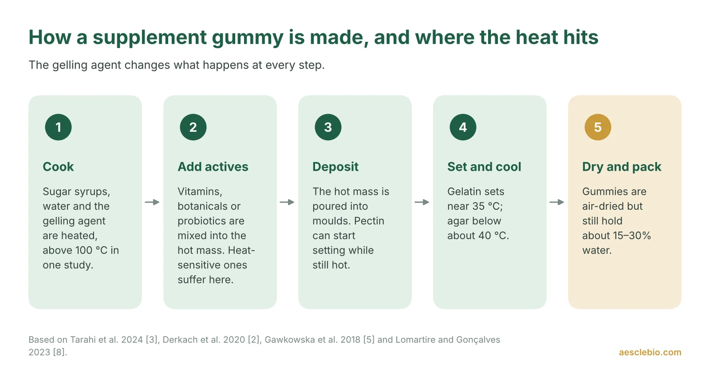 Five-step process diagram of gummy manufacturing: cook, add actives, deposit, set and cool, dry and pack, showing where heat affects ingredients.
